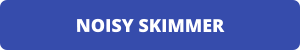 NOISY SKIMMER