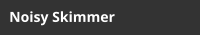 Noisy Skimmer
